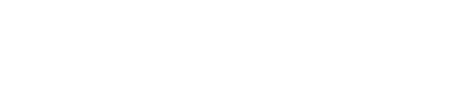 dcmsaf logo WHITE